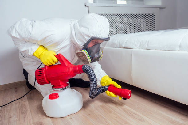 Best Local Pest Control Services  in Glendale, WI