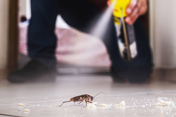 Best Pest Control for Restaurants  in Glendale, WI