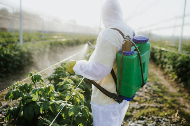 Trusted Glendale, WI Pest Control Experts